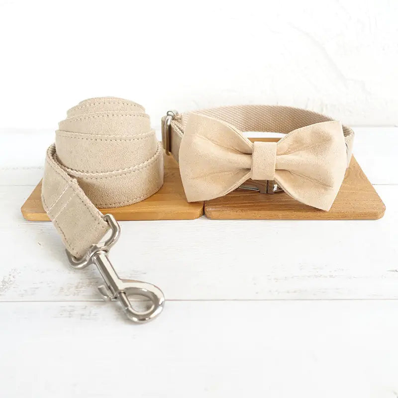 Oopli Dog Collar with Traction Rope Attachment