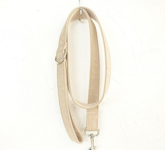 Oopli Dog Collar with Traction Rope Attachment