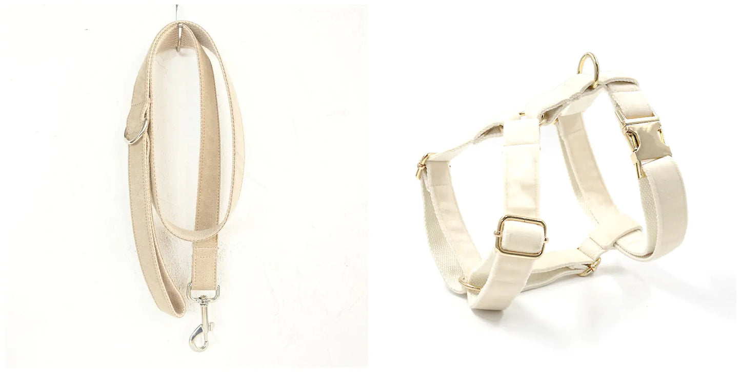 Oopli Dog Collar with Traction Rope Attachment