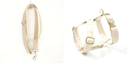 Oopli Dog Collar with Traction Rope Attachment